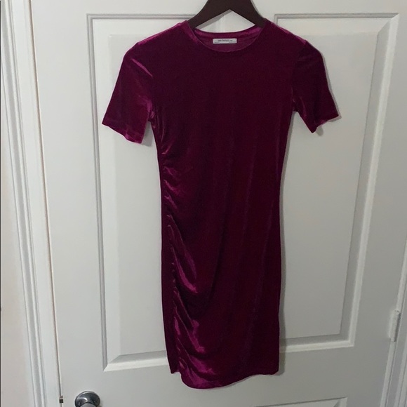 Zara Rasperry Velvet Dress - Picture 4 of 6